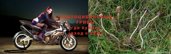 меф VHQ Беломорск